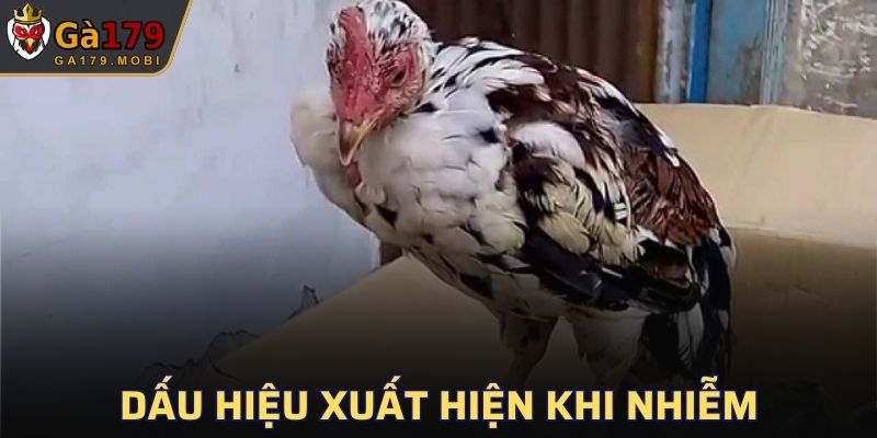 Triệu chứng phổ biến hay xuất hiện