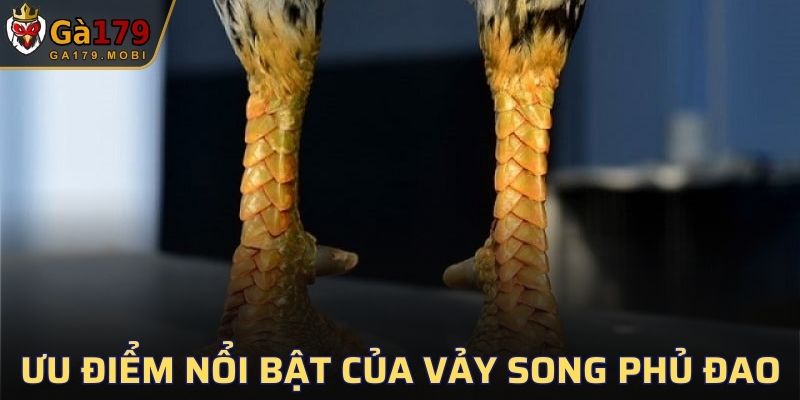 Ưu điểm nổi bật của gà chọi sở hữu vảy Song Phủ Đao