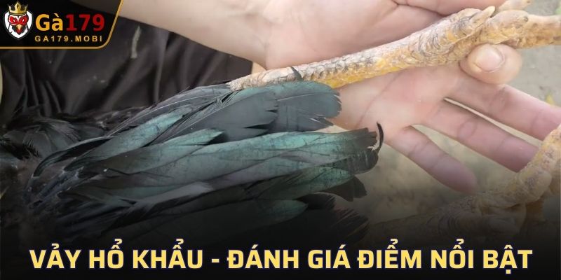 Vảy Hổ Khẩu