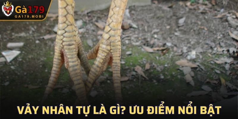 Vảy Nhân Tự