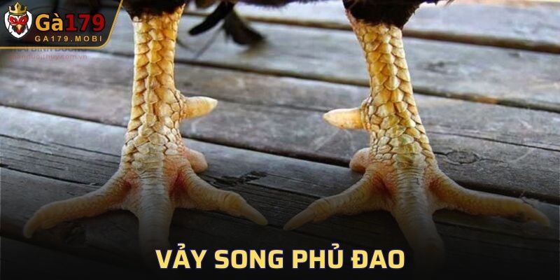 Vảy Song Phủ Đao