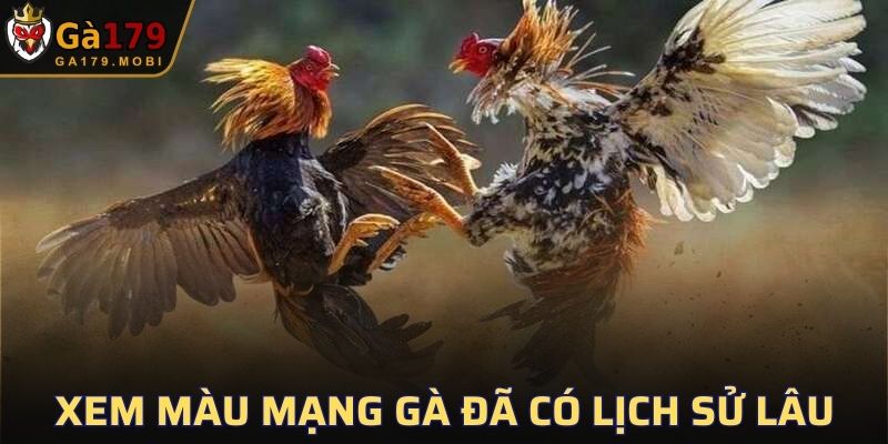 Xem màu mạng đá gà đã có lịch sử xuất hiện từ lâu