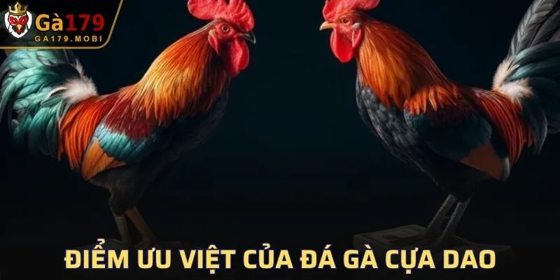 Xu hướng đá gà cựa dao 2025